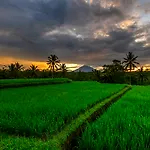 Kawi Resort A Pramana Experience