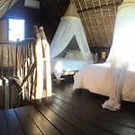 Flower Bud Bungalow