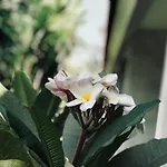 El Homestay Bali
