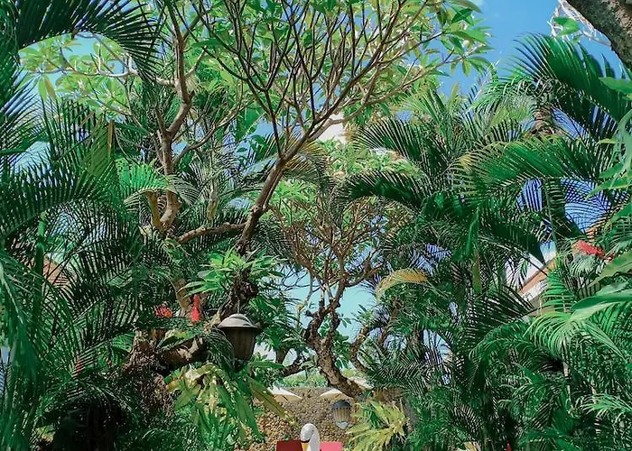 Uma Karan
