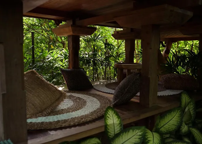Roots Tree House