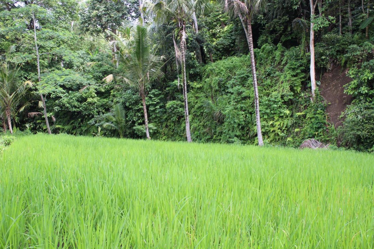 Tepi Sungai Guest house Sidemen (Bali)