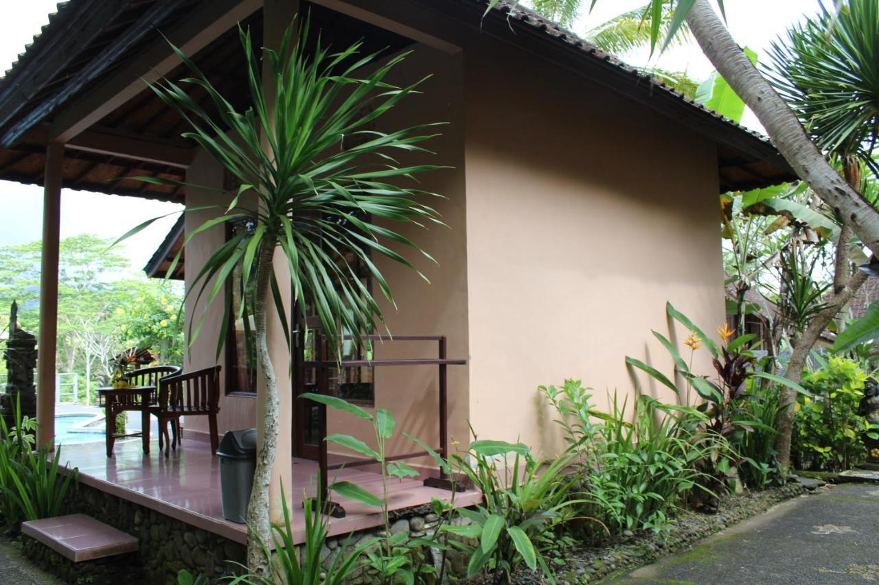 Tepi Sungai Sidemen (Bali)