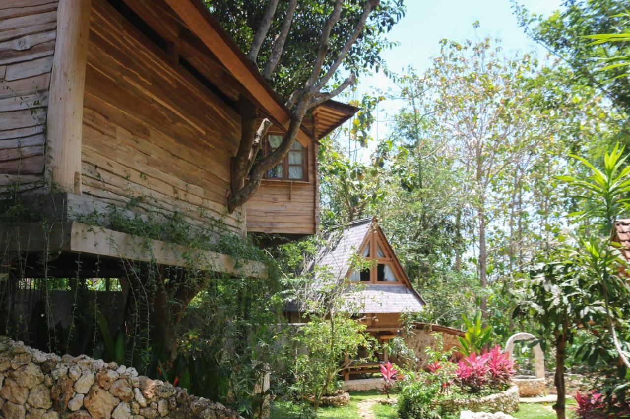 Roots Tree House Lodge *