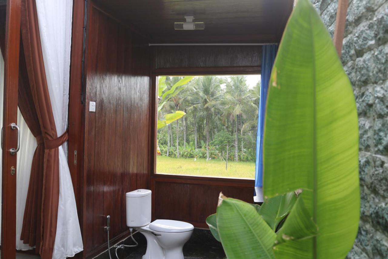 Guest house Mancur 2*