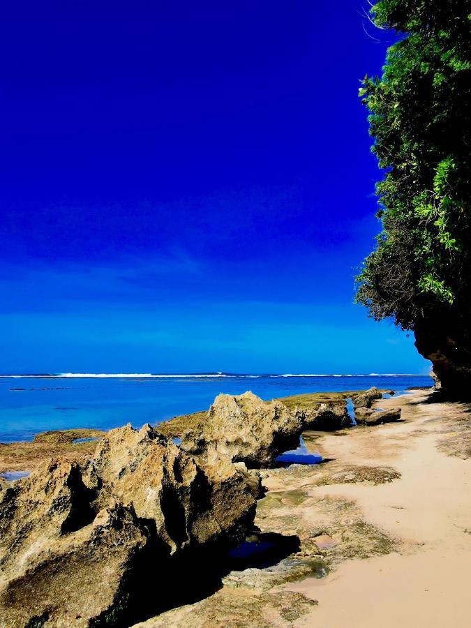 Artoria Dream Bali