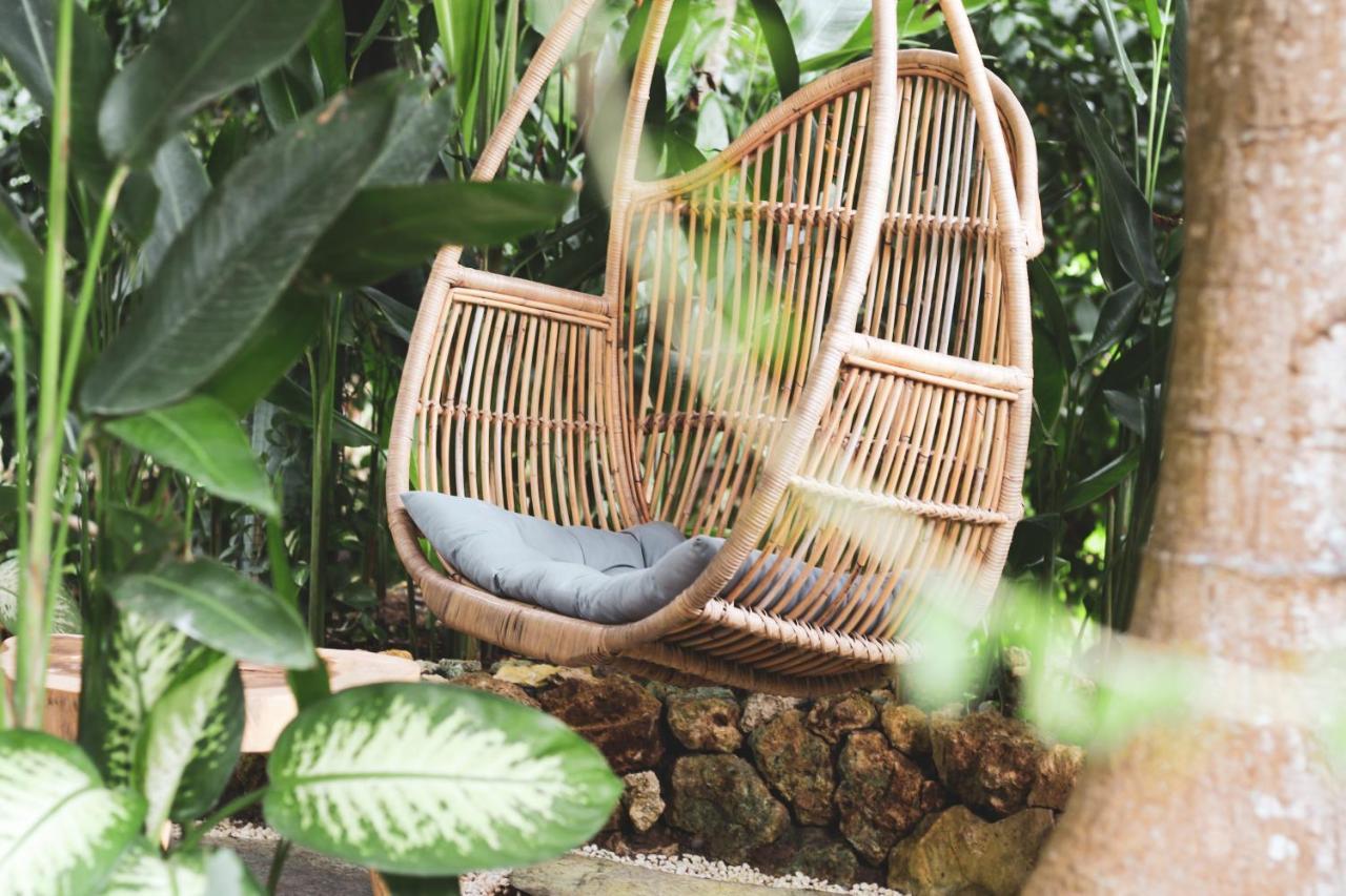 Roots Tree House Lodge