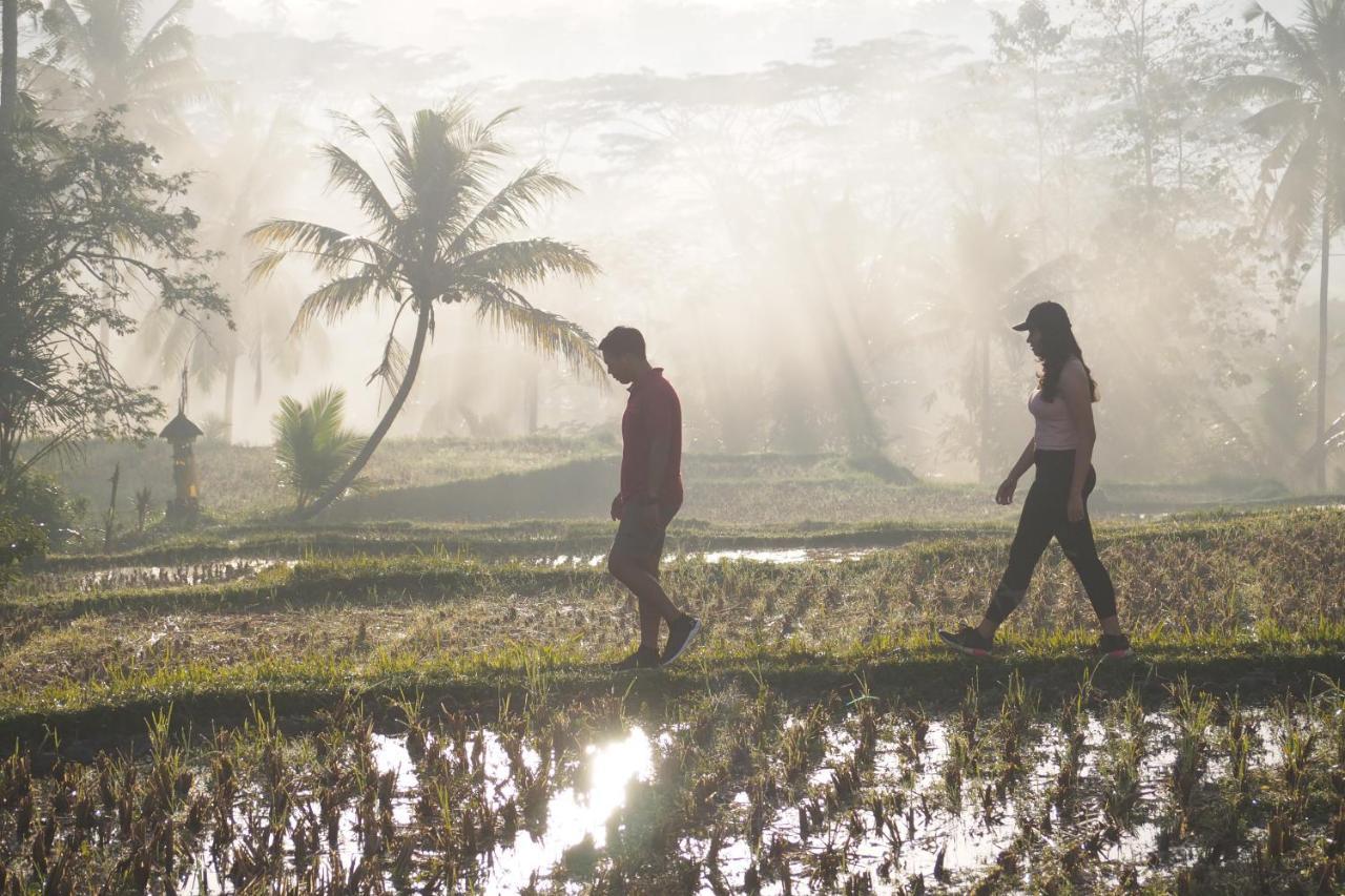 Resor Kawi A Pramana Experience Tegallalang (Bali)