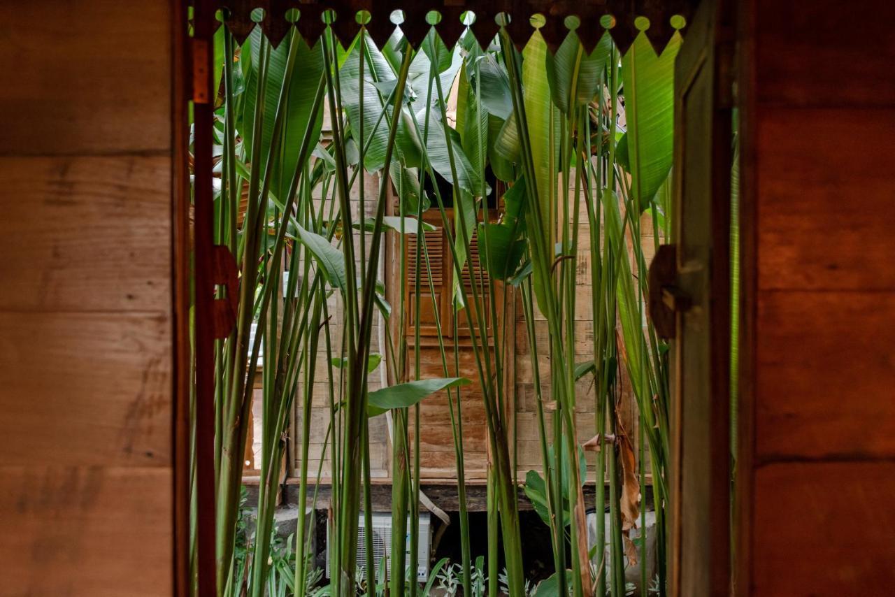 Moson Legian (Bali)