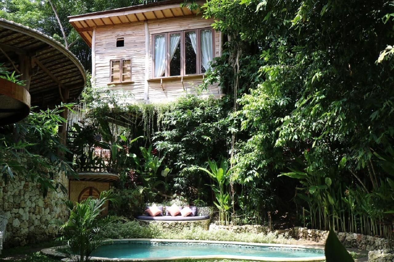 Roots Tree House
