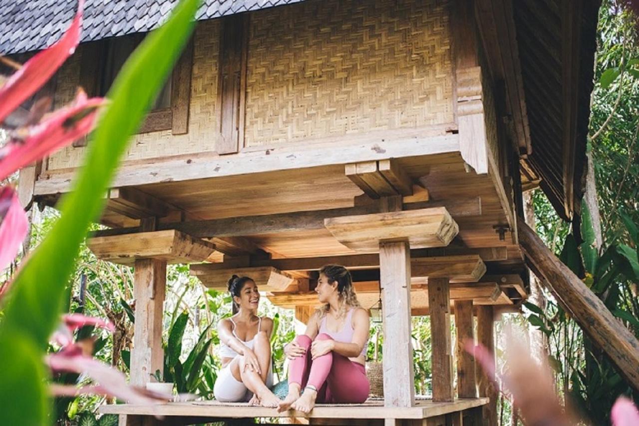 Roots Tree House Lodge