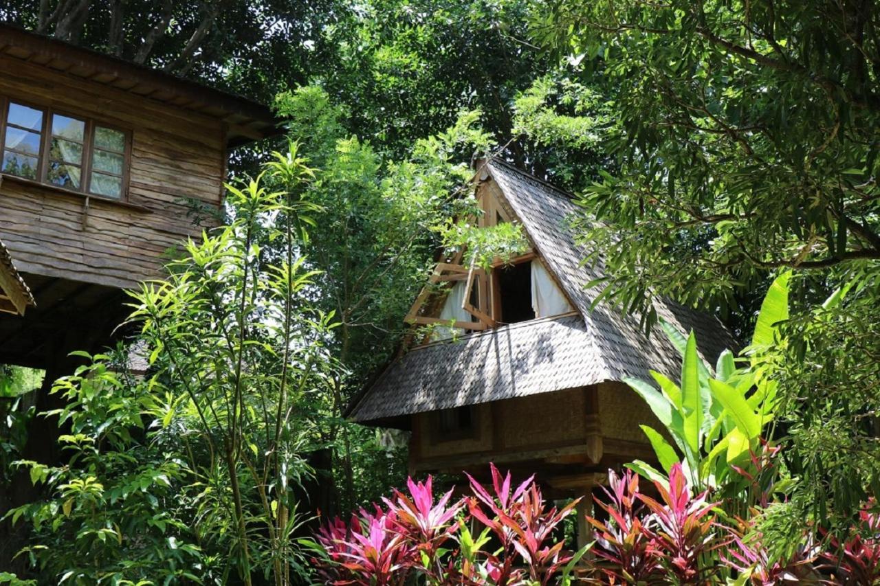 Roots Tree House