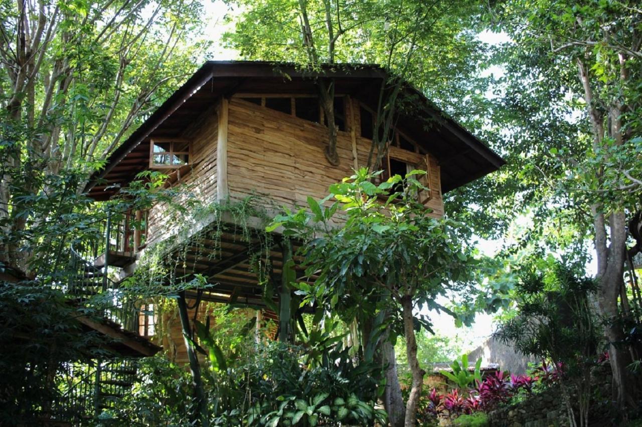 Roots Tree House *