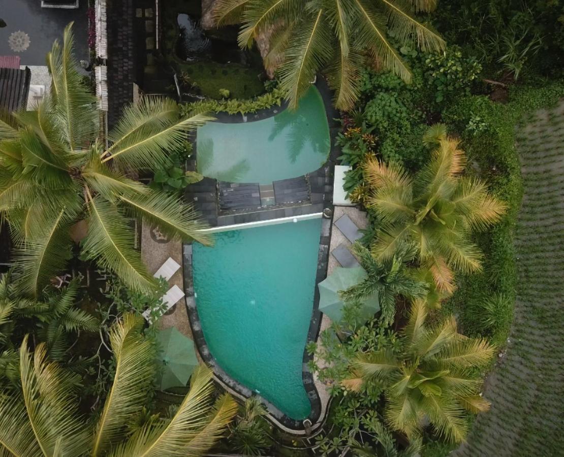 Junjungan Holiday park 3*