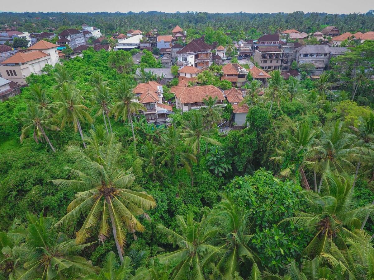 Cilinaya Guest house Ubud (Bali)