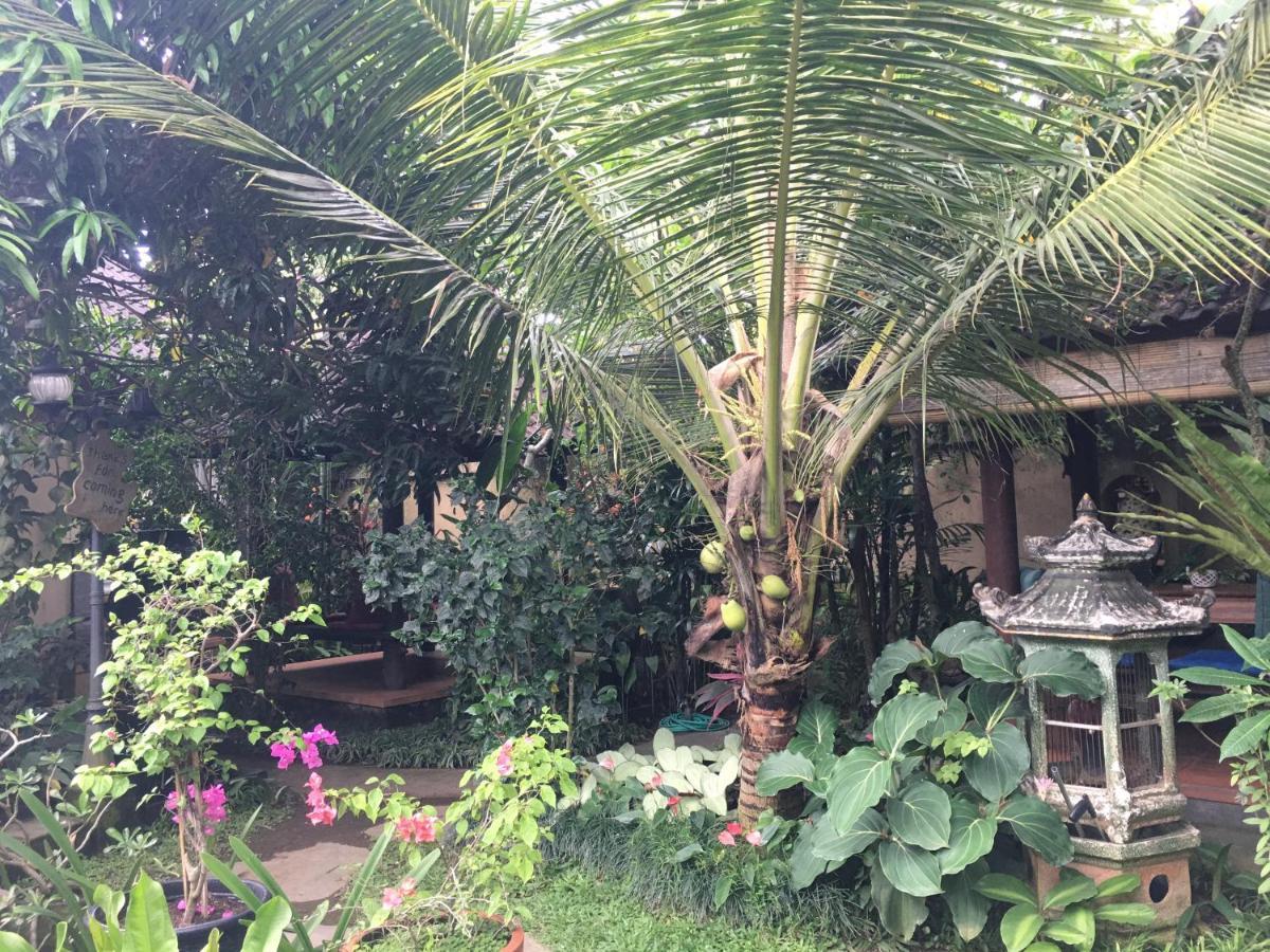 Cilinaya Guest house Ubud (Bali)