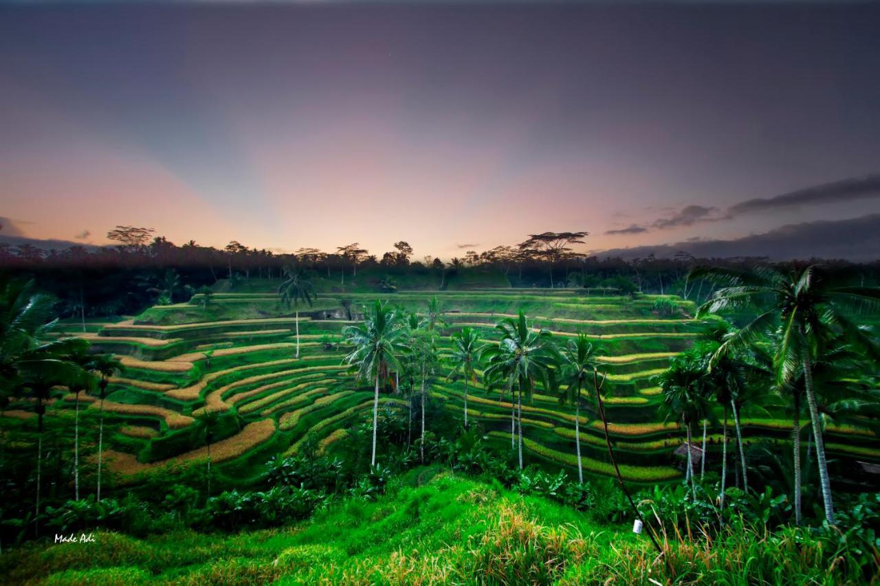 Hotel Puri Padma Ubud (Bali)