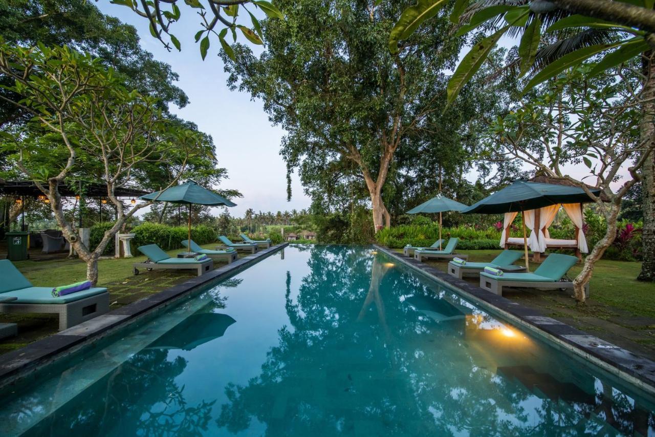 The Hidden Paradise - Chse Certified