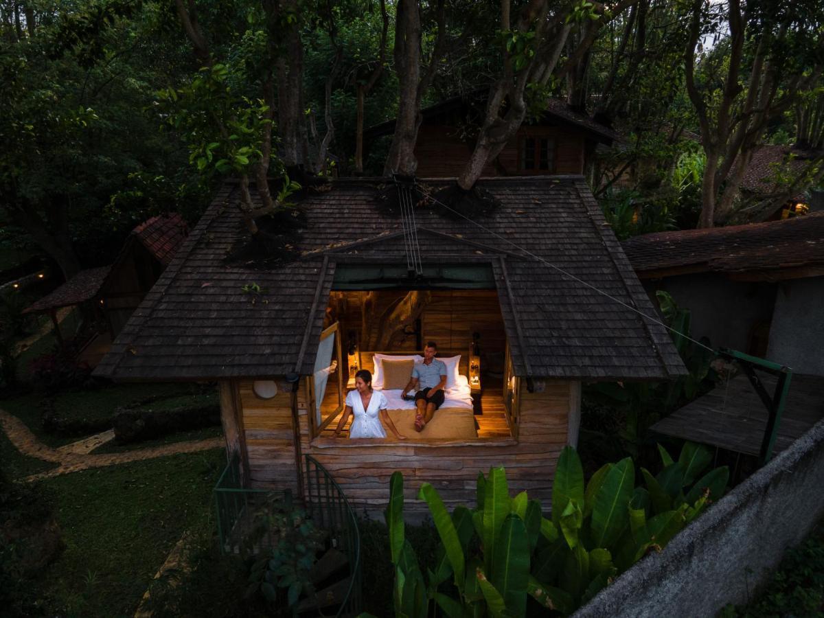 Roots Tree House Lodge