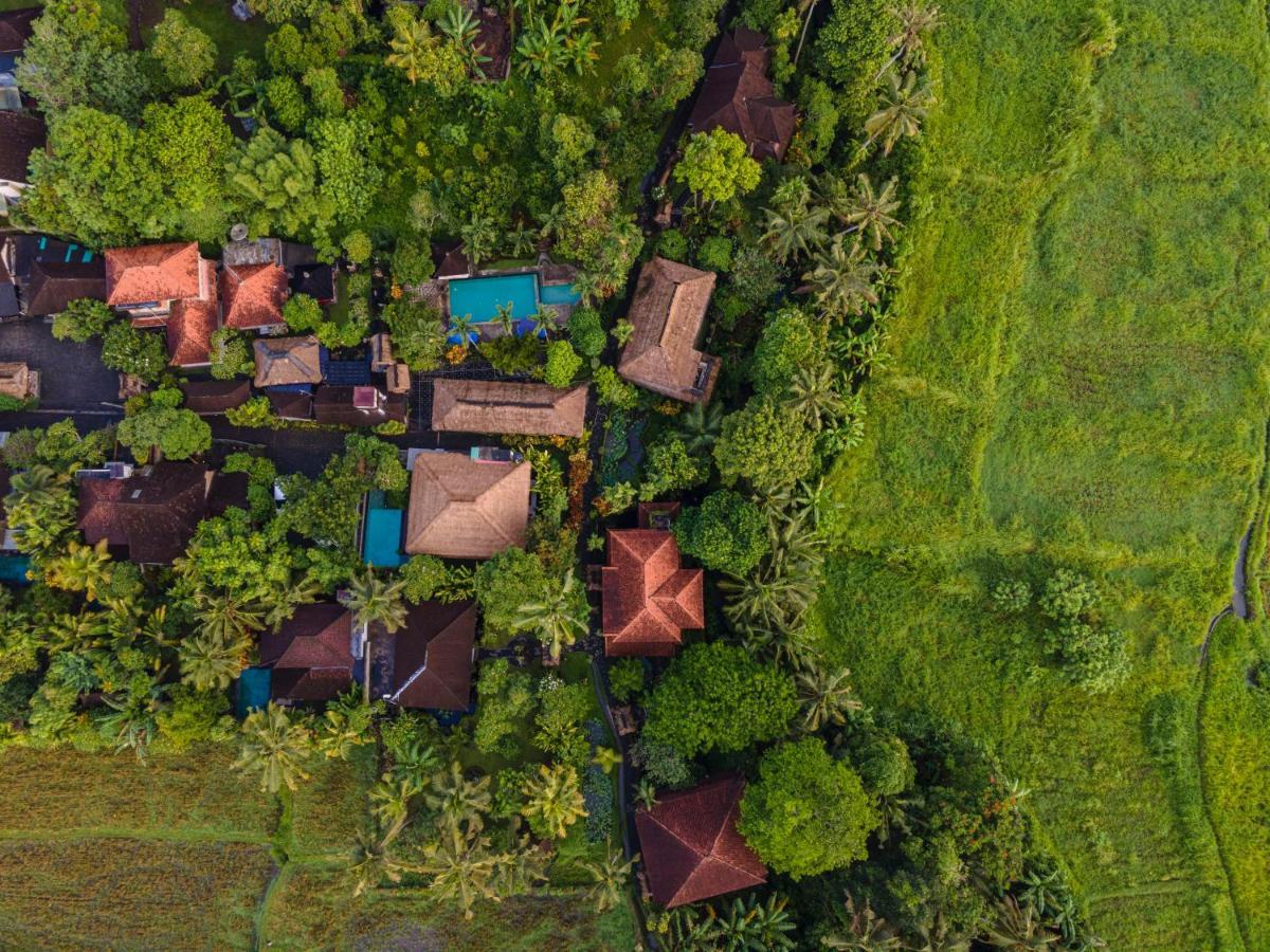 Alam Jiwa 4* Ubud (Bali)