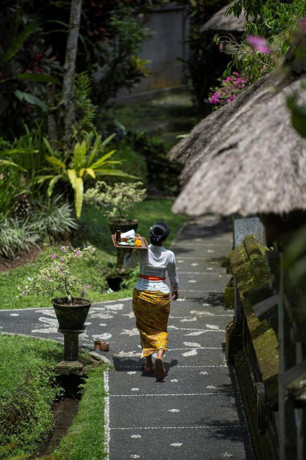 Alam Jiwa 4* Ubud (Bali)