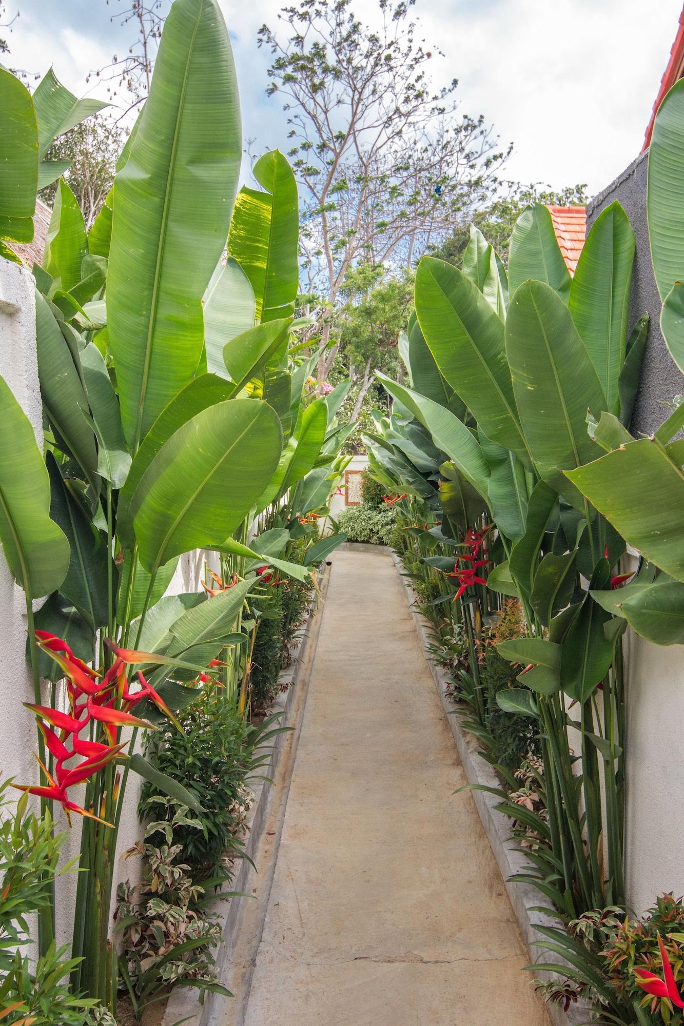 Uma Mani Bali