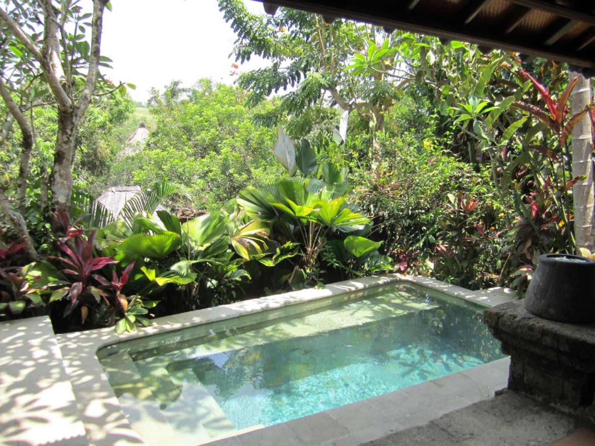 Ibah Resort