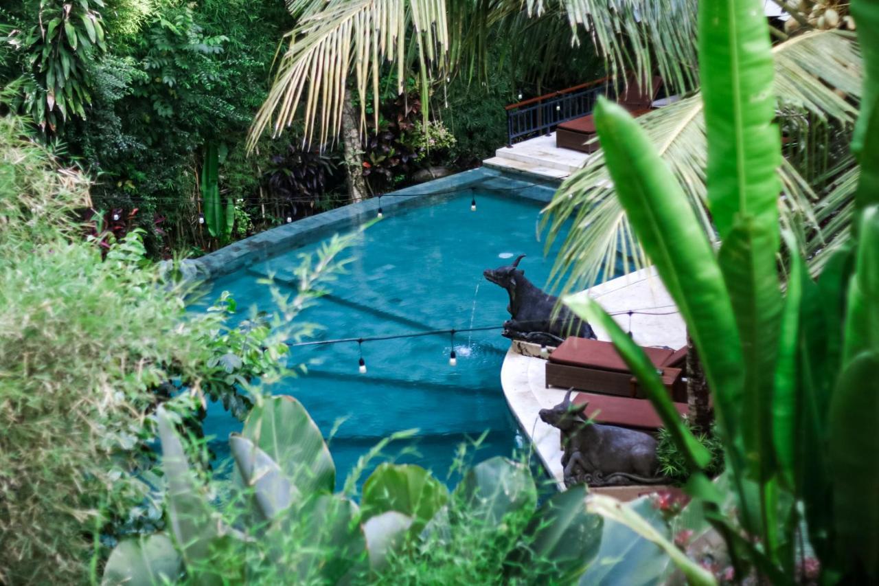 Wisma tamu Desak Putu Putera Ubud (Bali)