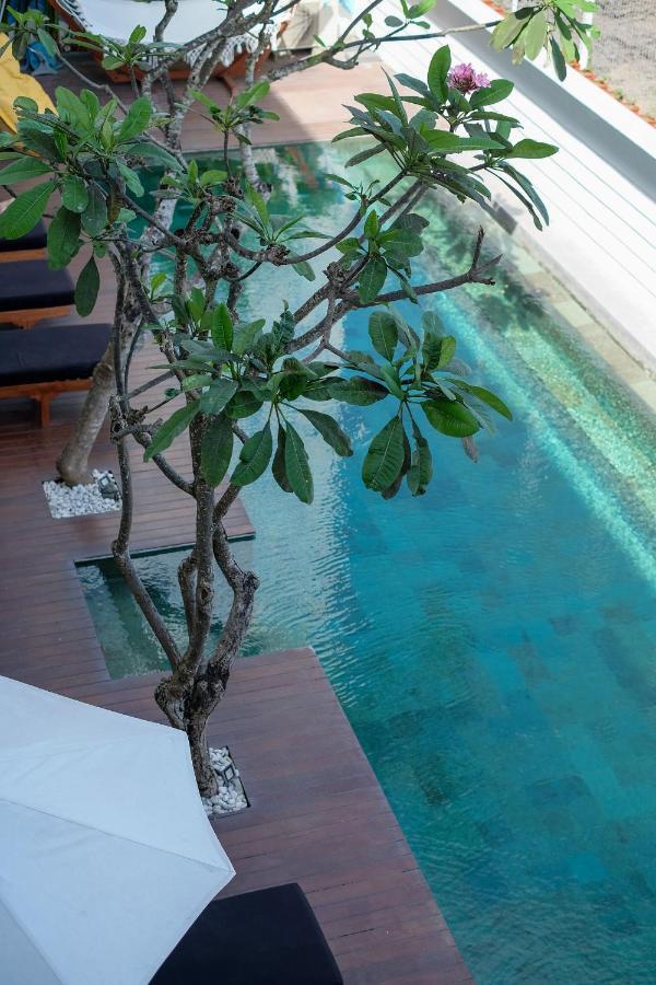 Hostel Dip & Doze Living