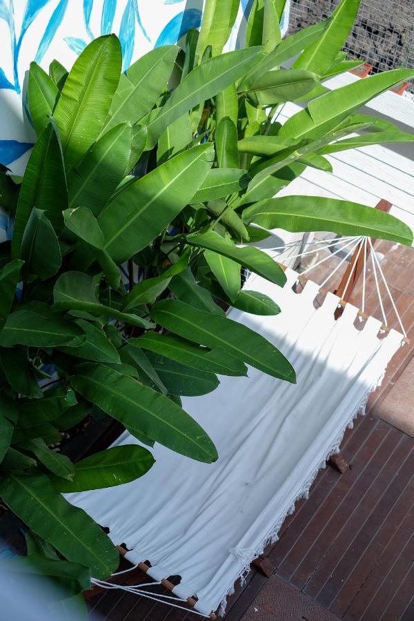 Dip & Doze Living Hostel *