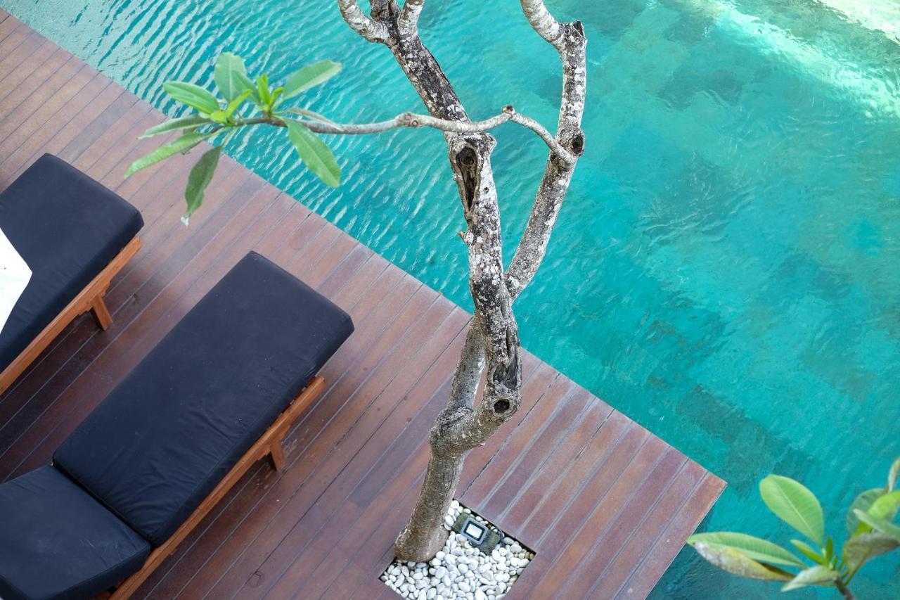 Dip & Doze Living Hostel Canggu (Bali)
