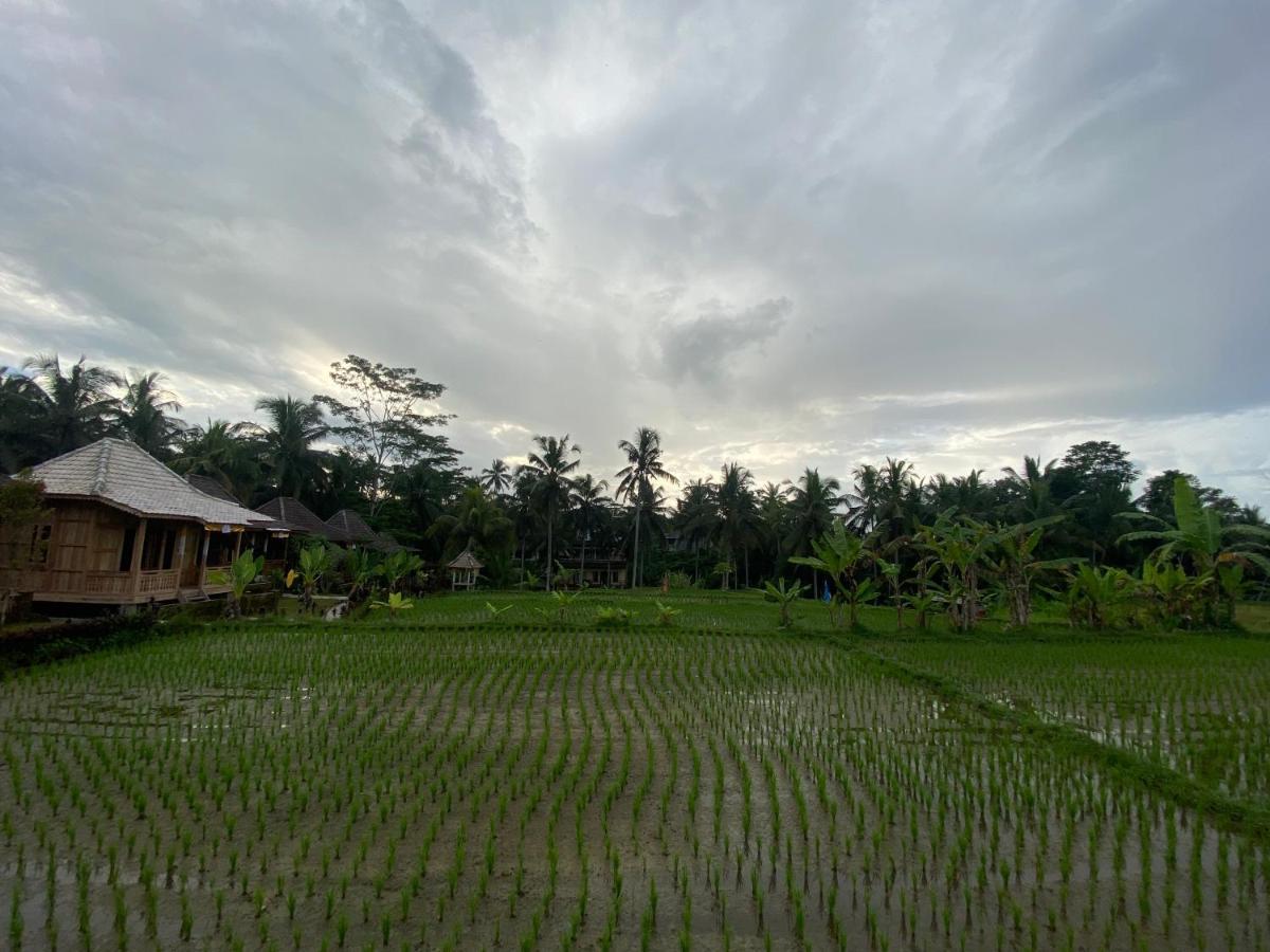 Junjungan Holiday park Ubud (Bali)