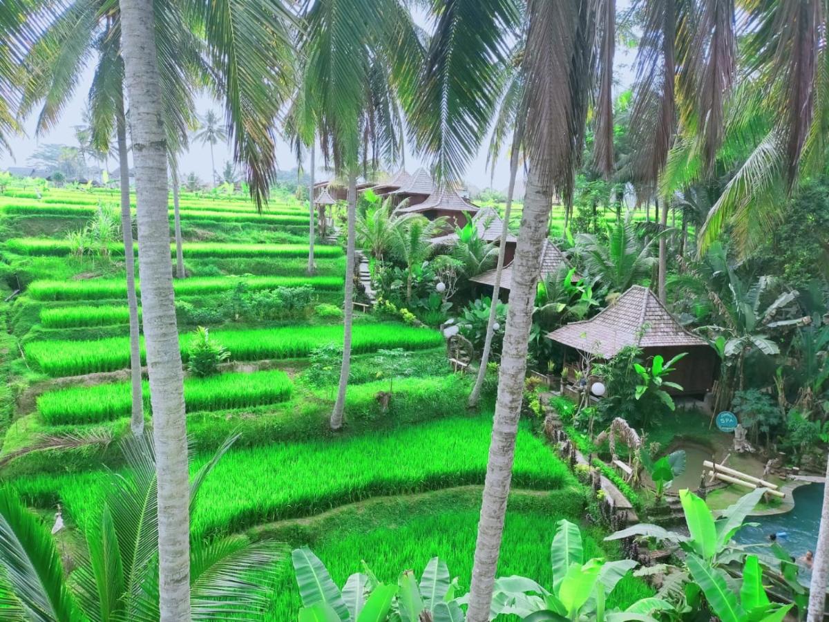 Holiday park Junjungan