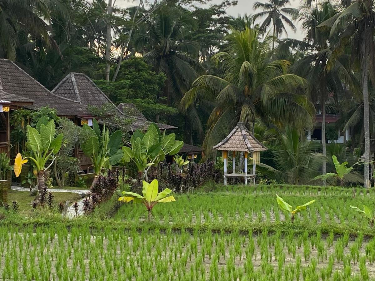 Junjungan Holiday park