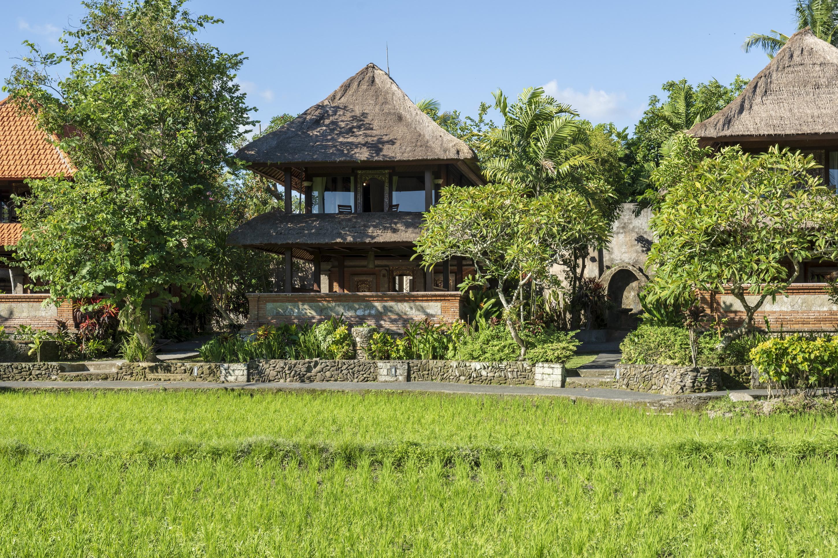 Agung Raka Ubud (Bali)