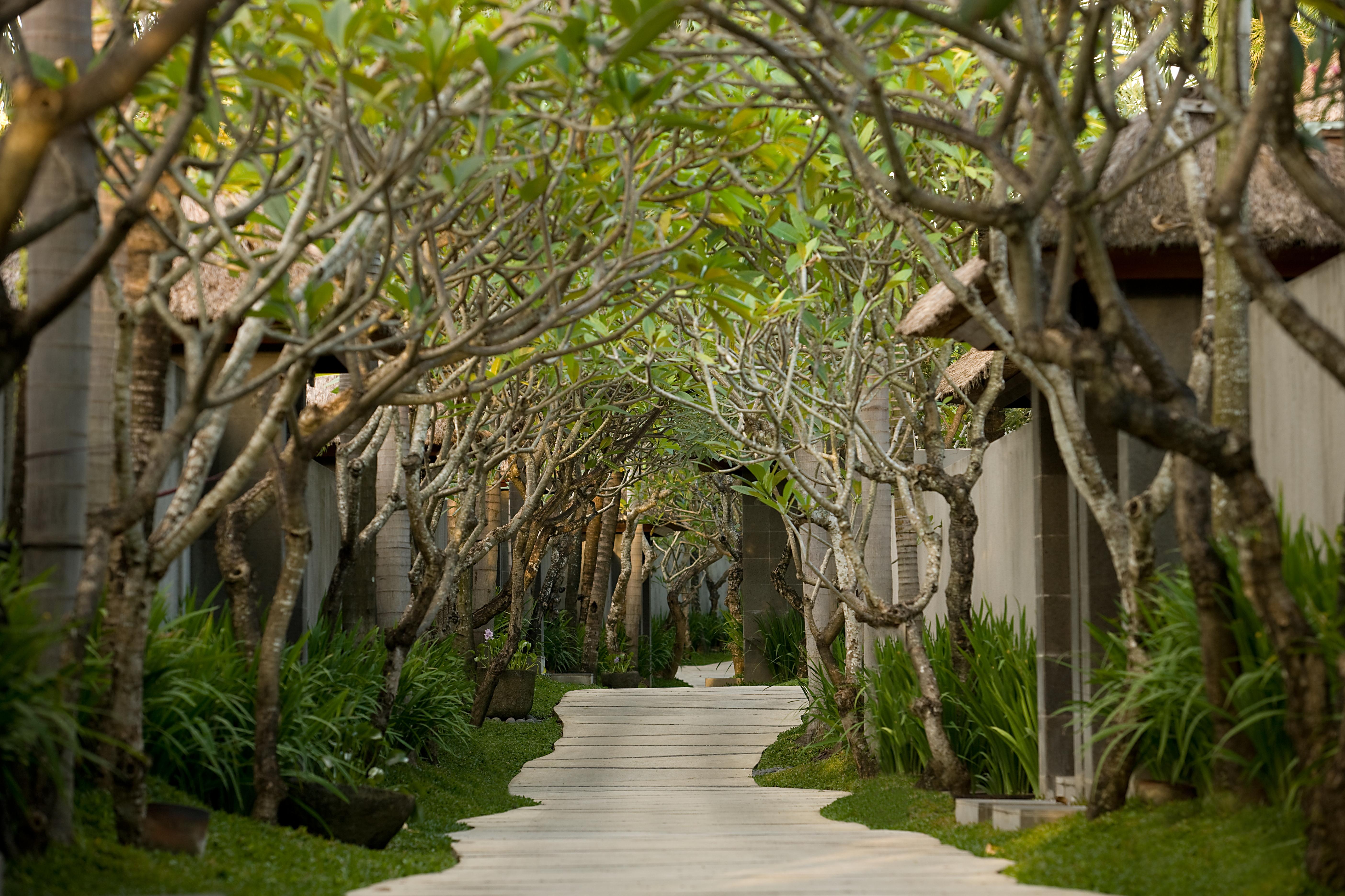 The Kayana Villa *