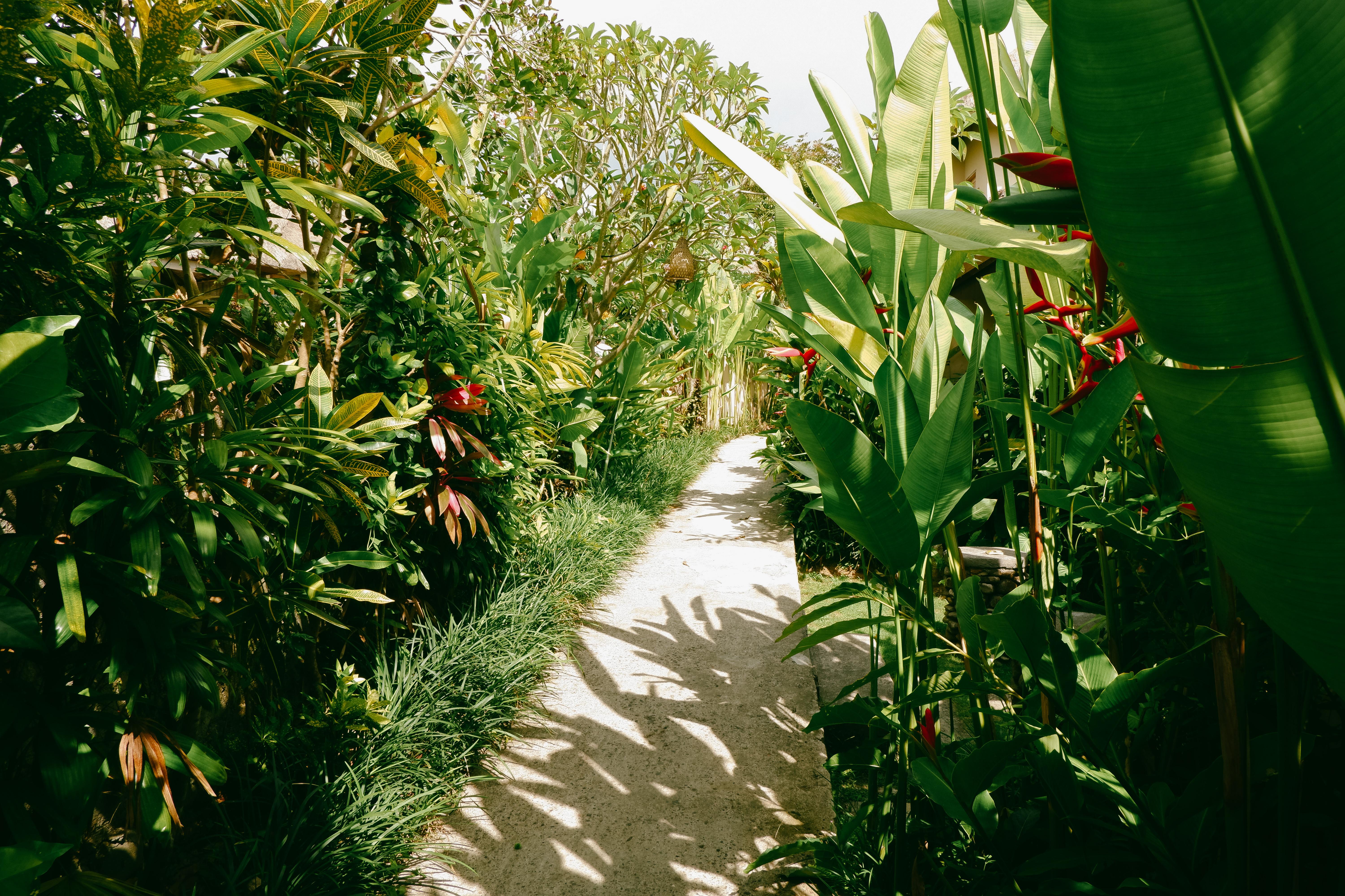 Mesari 4* Ubud (Bali)