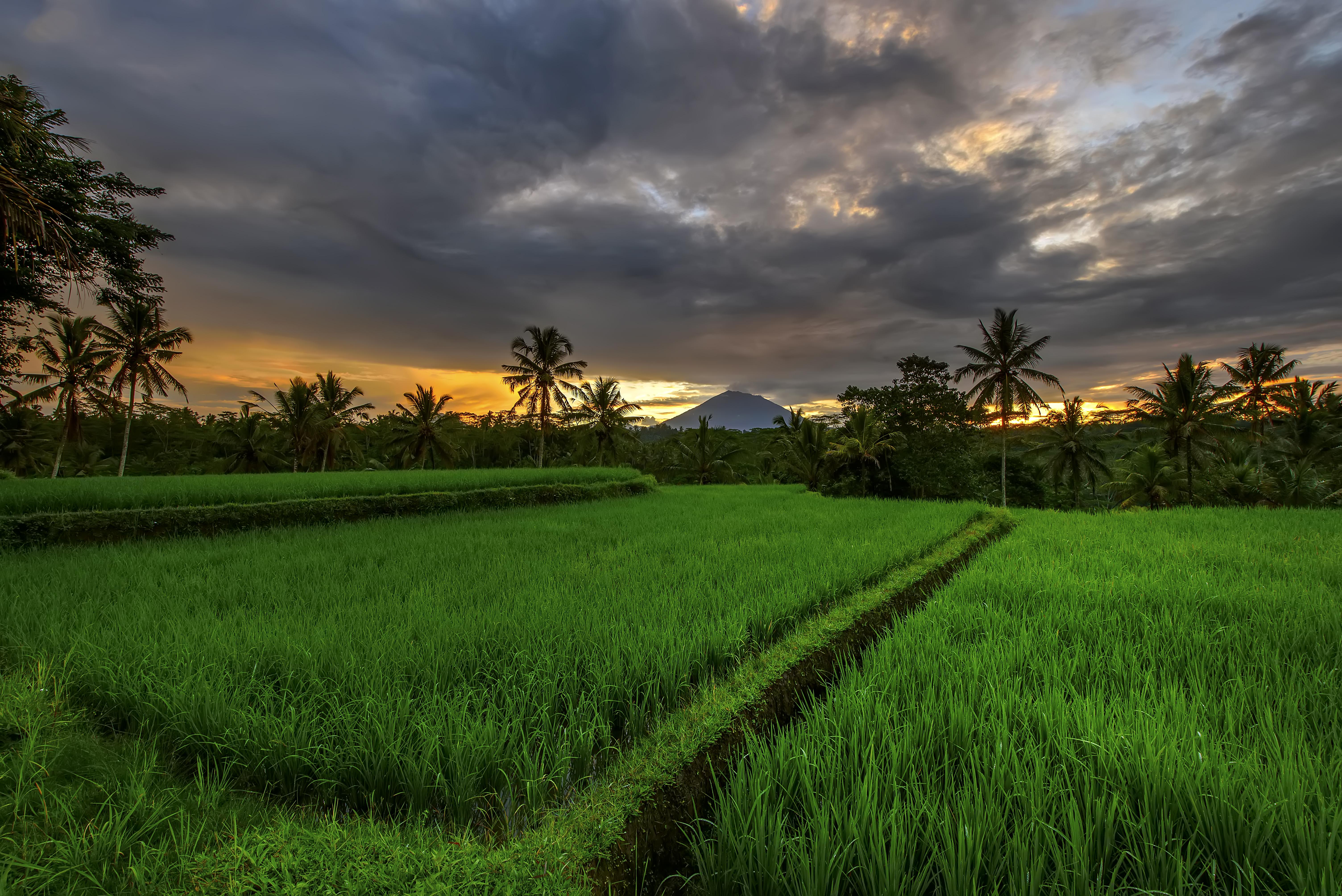 Resor Kawi A Pramana Experience 4*
