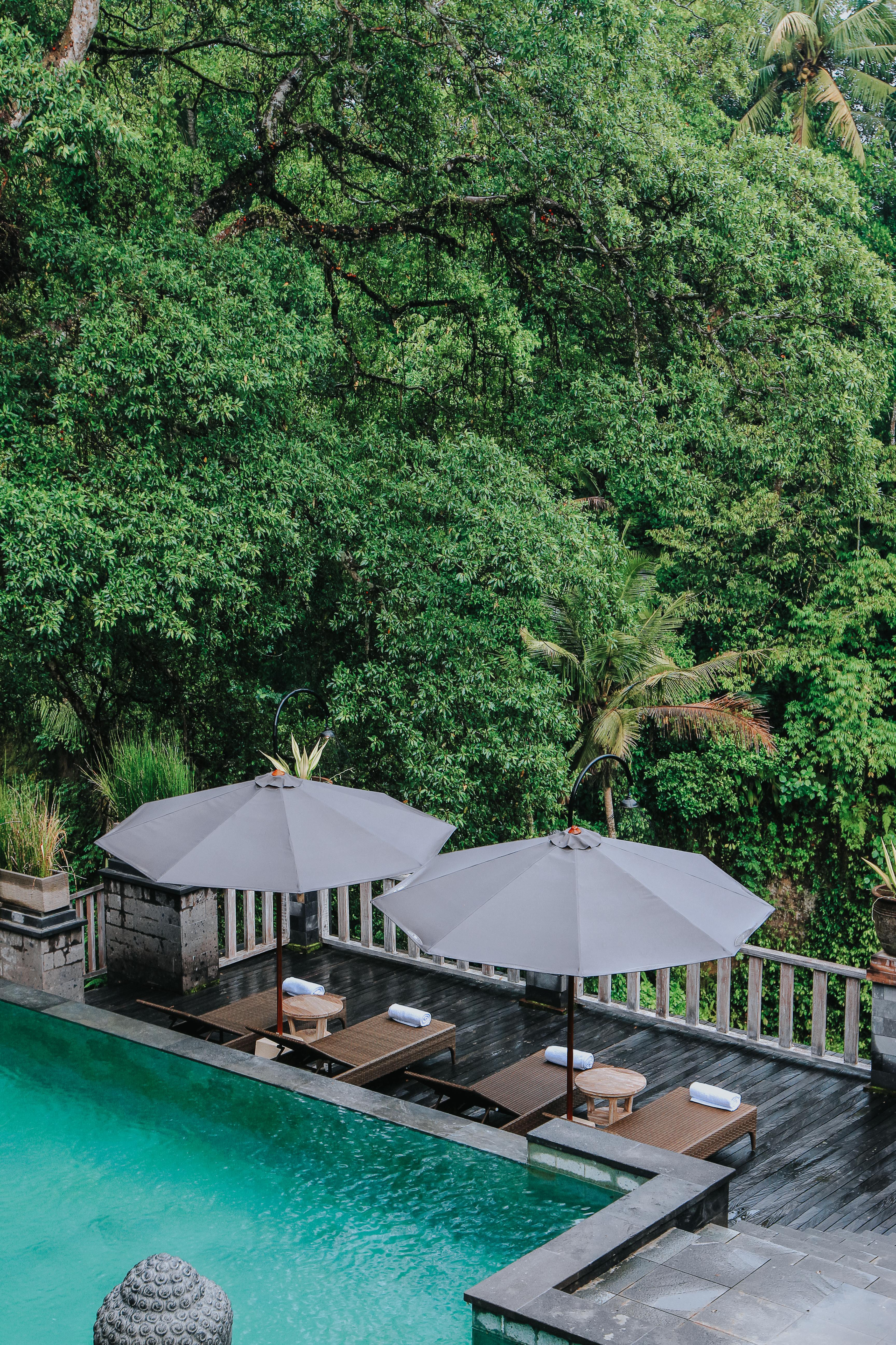 Kawi A Pramana Experience Resor Tegallalang (Bali)