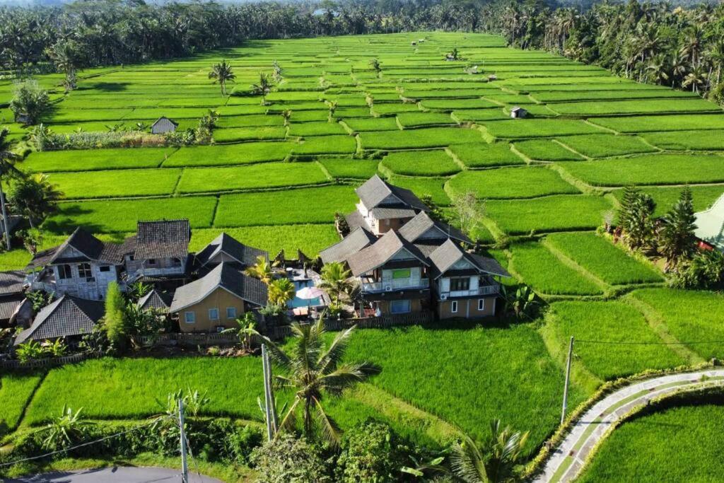 Ananda Jj & Resor Ubud (Bali)