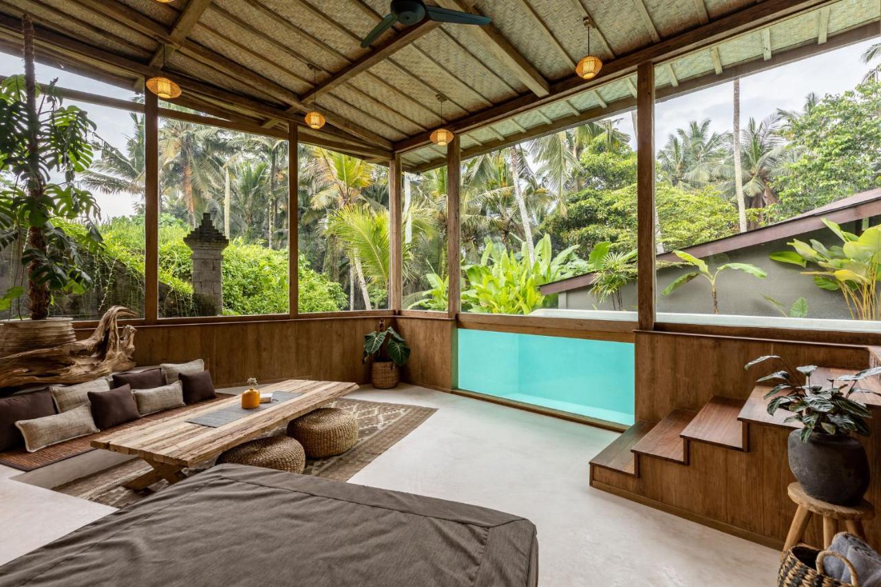 Casa Pohon *