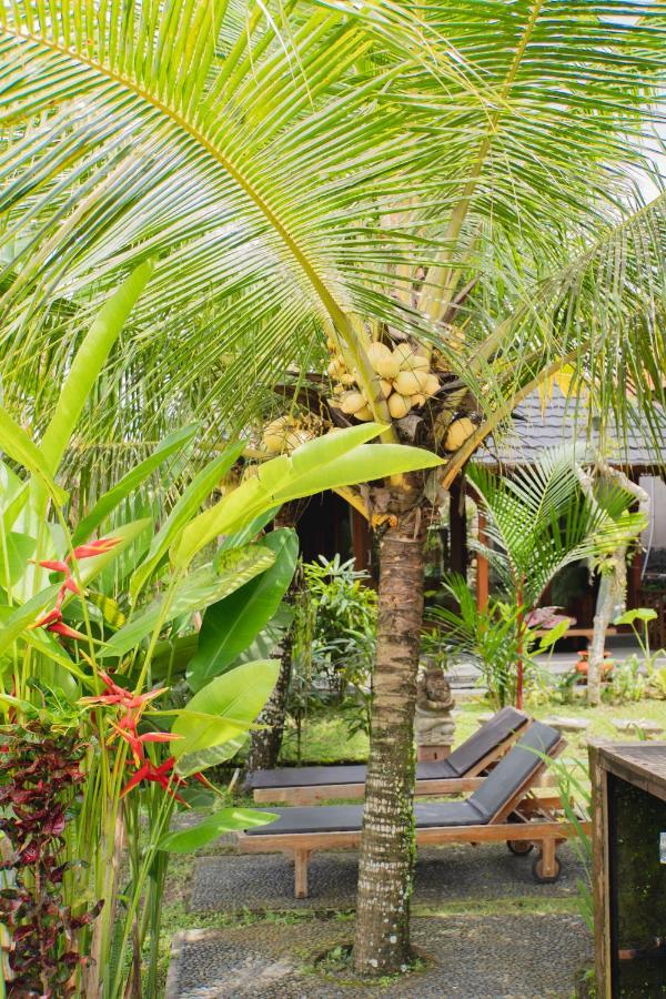 Guest house Mancur