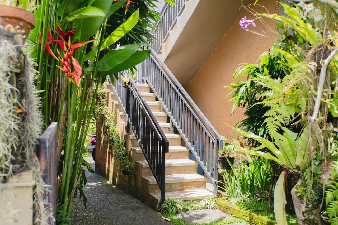 Guest house Mancur