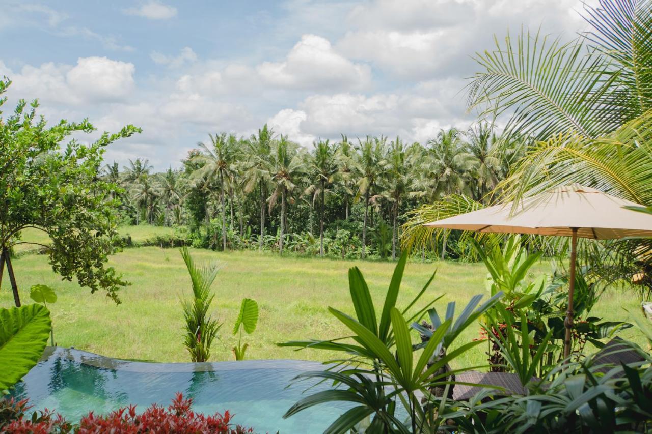 Mancur Guest house 2*