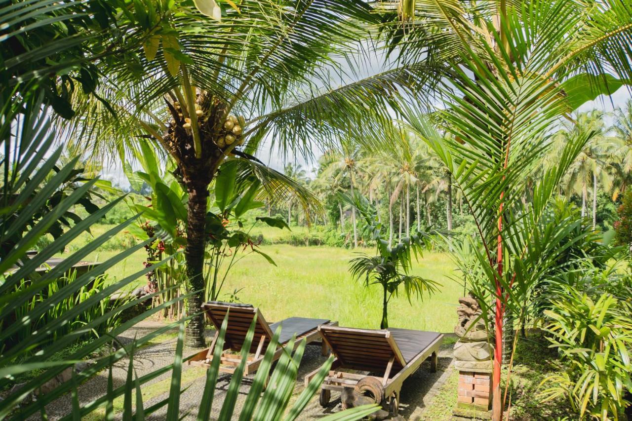 Mancur 2* Ubud (Bali)
