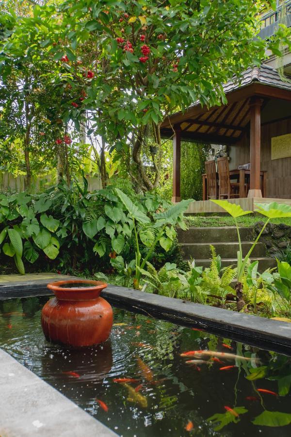Guest house Mancur 2*