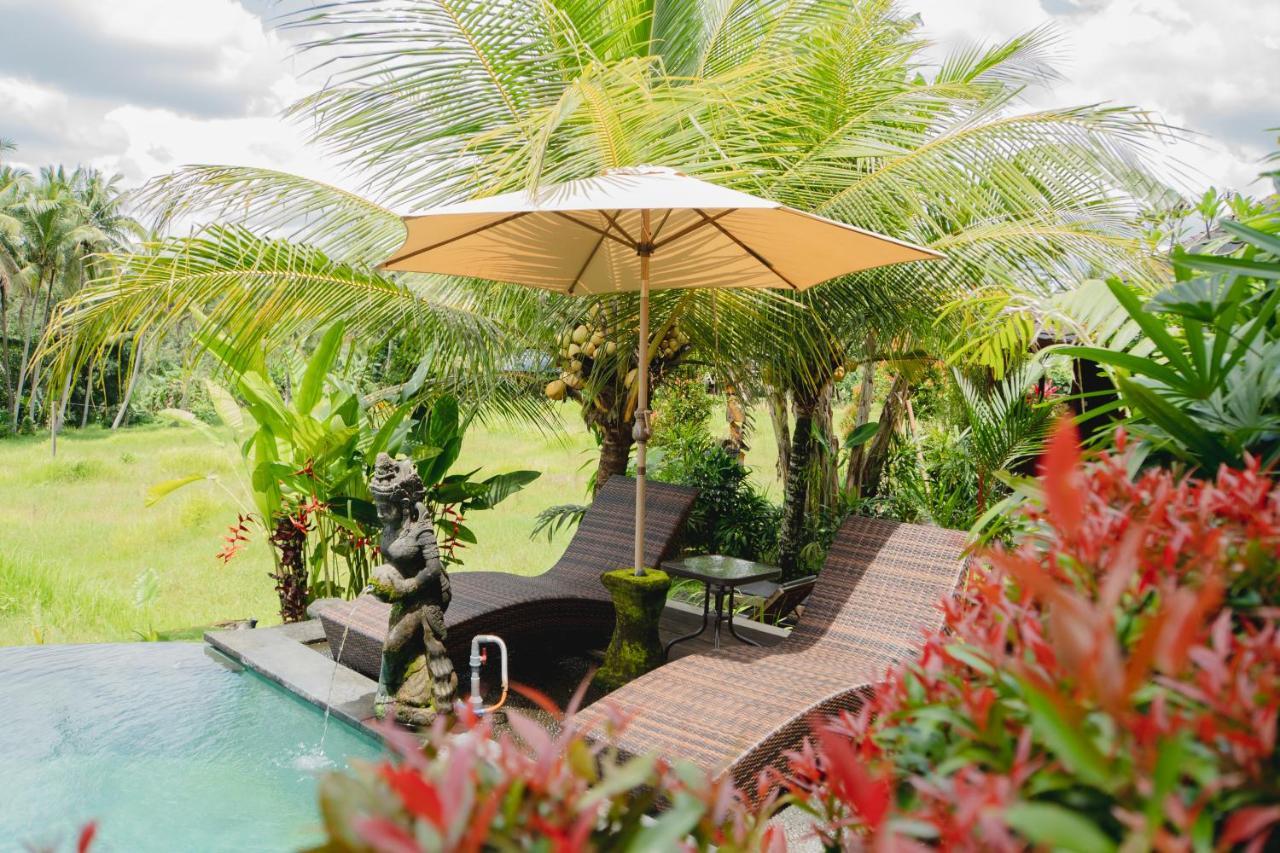Mancur Guest house