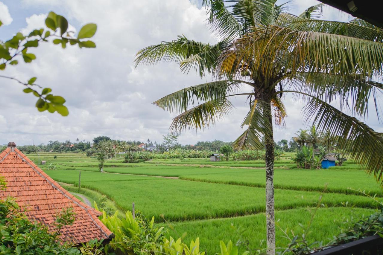 Mancur Guest house 2*