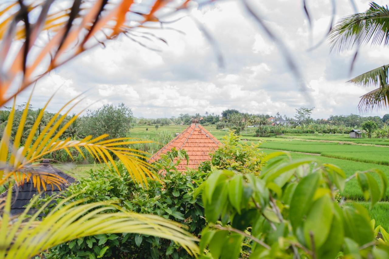 Guest house Mancur Ubud (Bali)