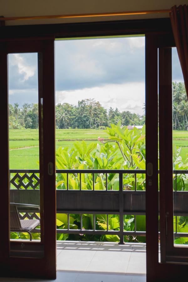 Guest house Mancur 2*